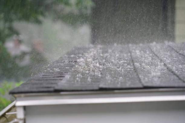 Best Roof Leak Repair  in Maxwell, CA